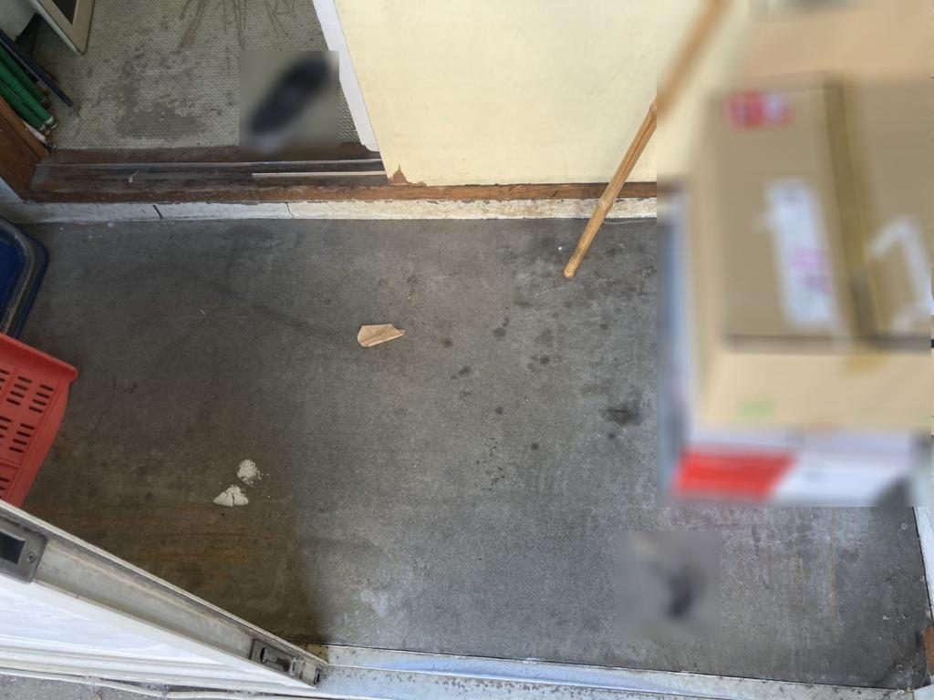 西５条南３４丁目【二方道路に面した南西角地約２２０坪！！】 内観