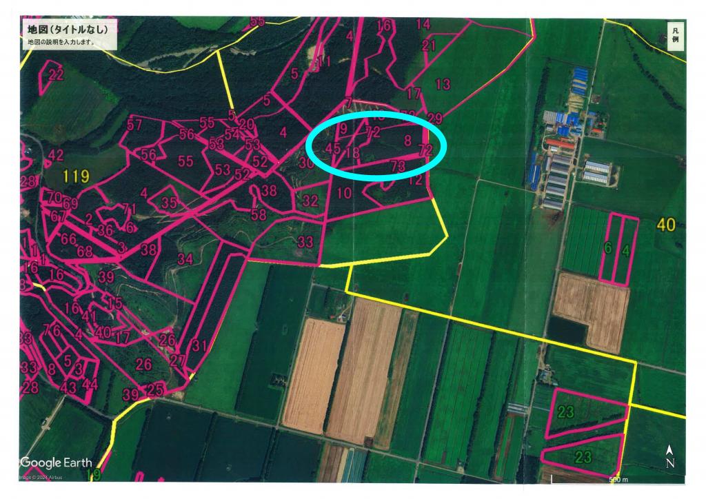 売土地（山林） 間取り