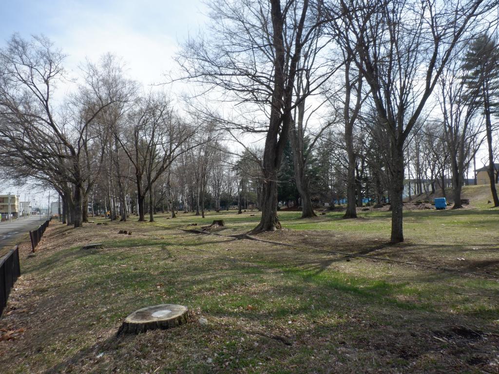 【大空町】全2区画分譲販売中/71.29坪/区画(1) 周辺