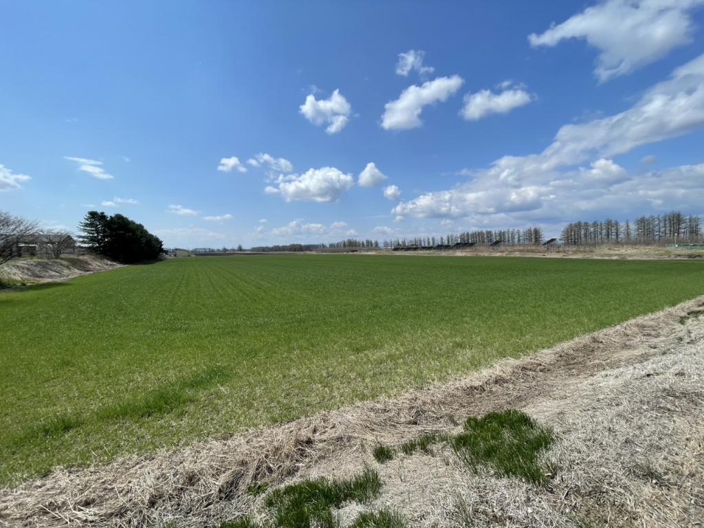 ♪南東角地♪士幌町中士幌＿土地 内観