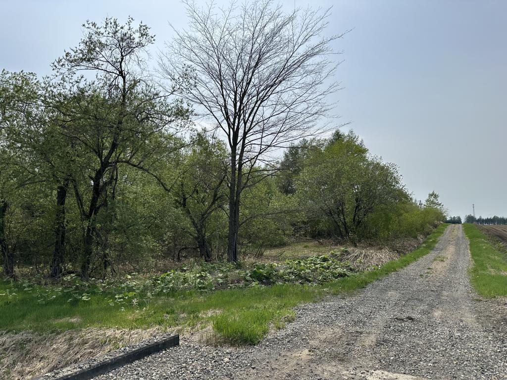 帯広市以平町西5線（7-1他）　売土地 内観