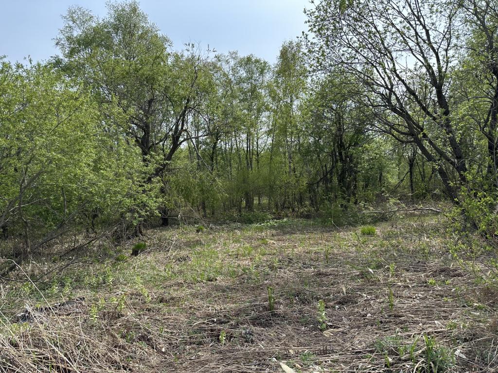 帯広市以平町西5線（7-1他）　売土地 内観