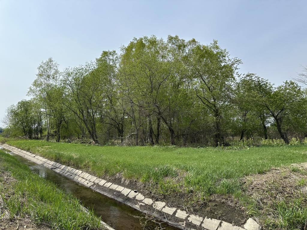 帯広市以平町西5線（7-1他）　売土地 内観