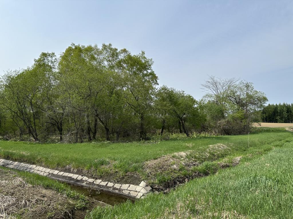 帯広市以平町西5線（7-1他）　売土地 内観