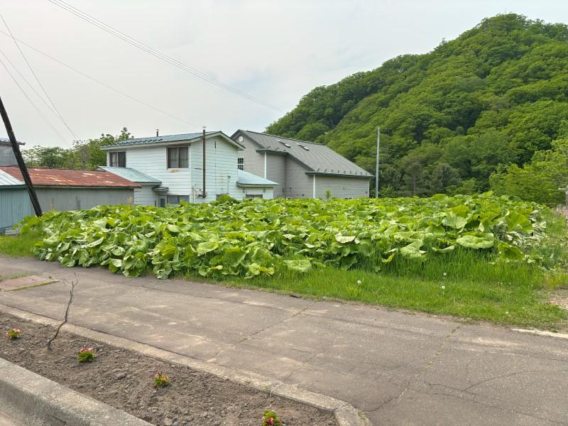 本別町東町　土地 内観