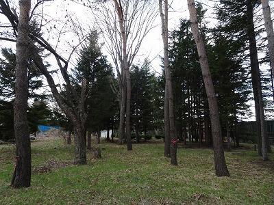 芽室町西土狩中古建 内観