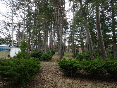 芽室町西土狩中古建 内観