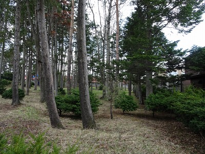 芽室町西土狩中古建 内観