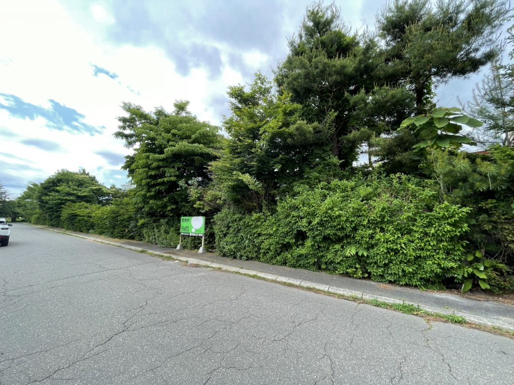 ♪南北道路♪東５南１８＿土地 内観