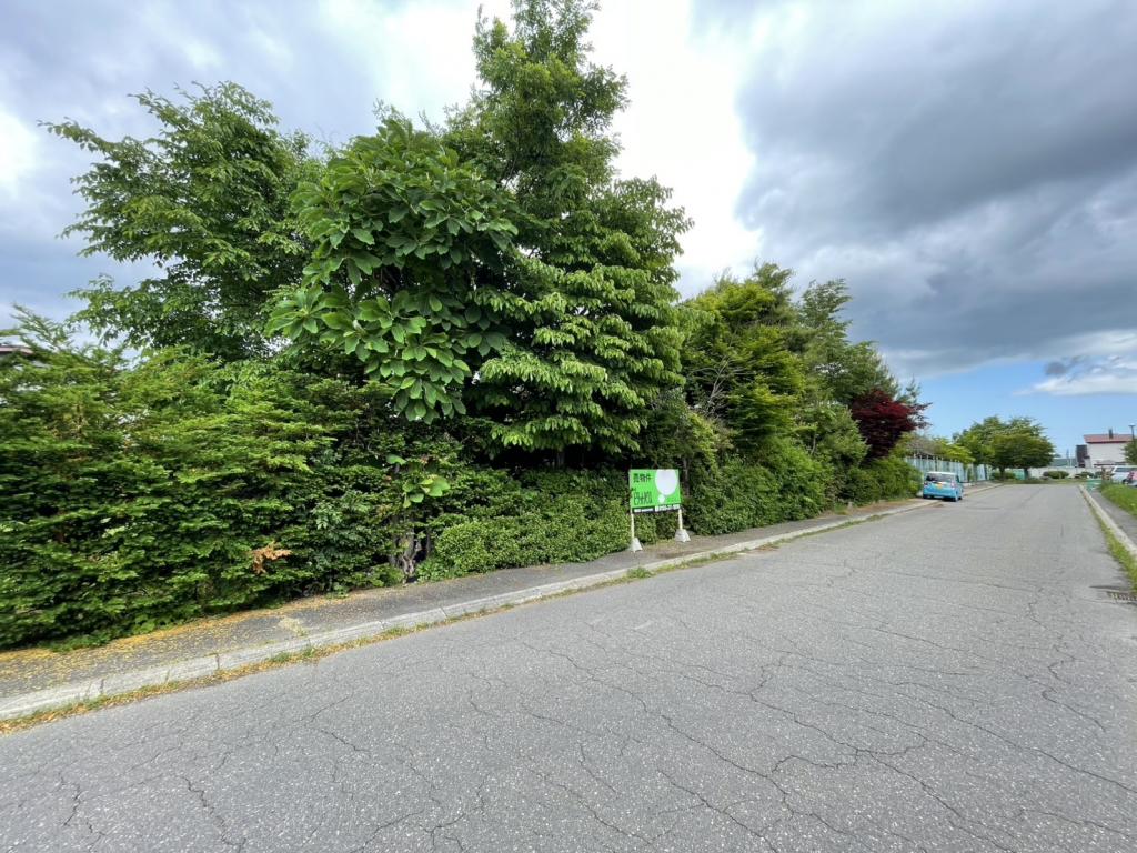 ♪南北道路♪東５南１８＿土地 内観