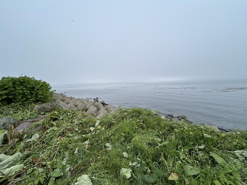 羅臼町春日町　土地