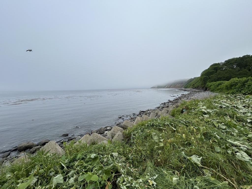 羅臼町春日町　土地 内観