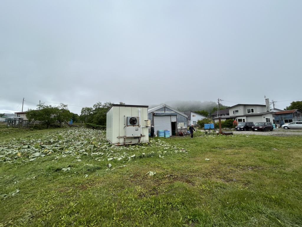 羅臼町春日町　土地 内観