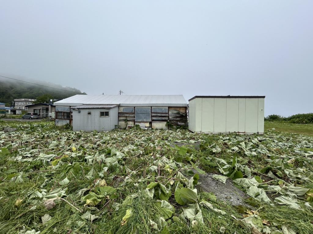 羅臼町春日町　土地 内観