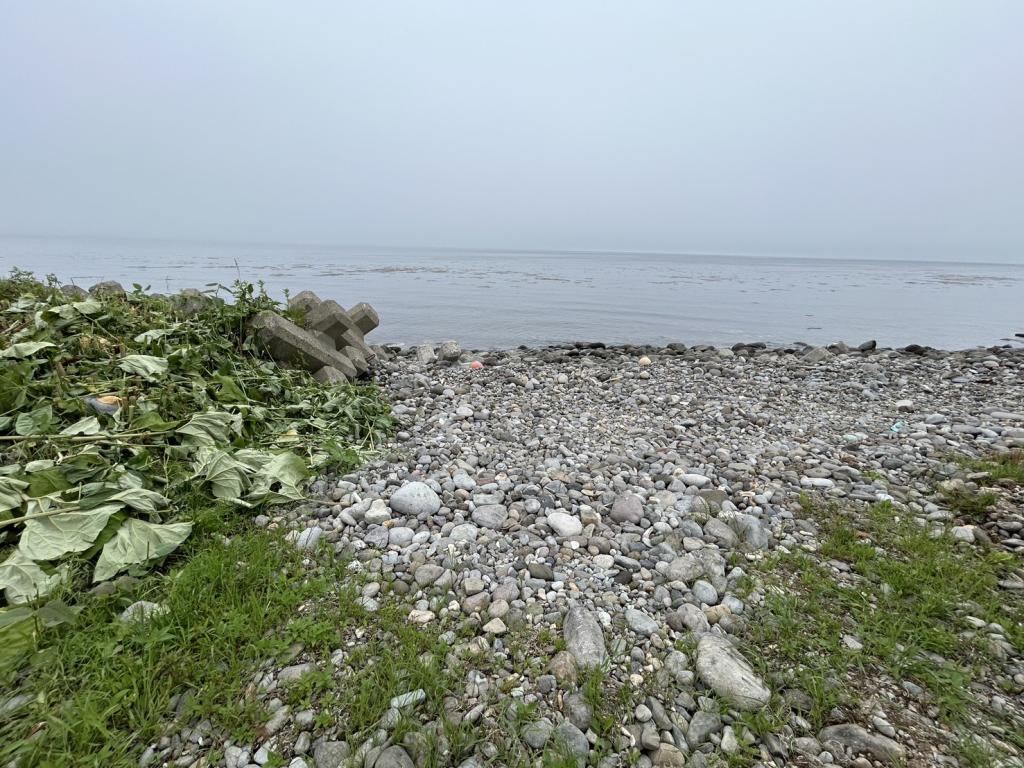 羅臼町春日町　土地 内観