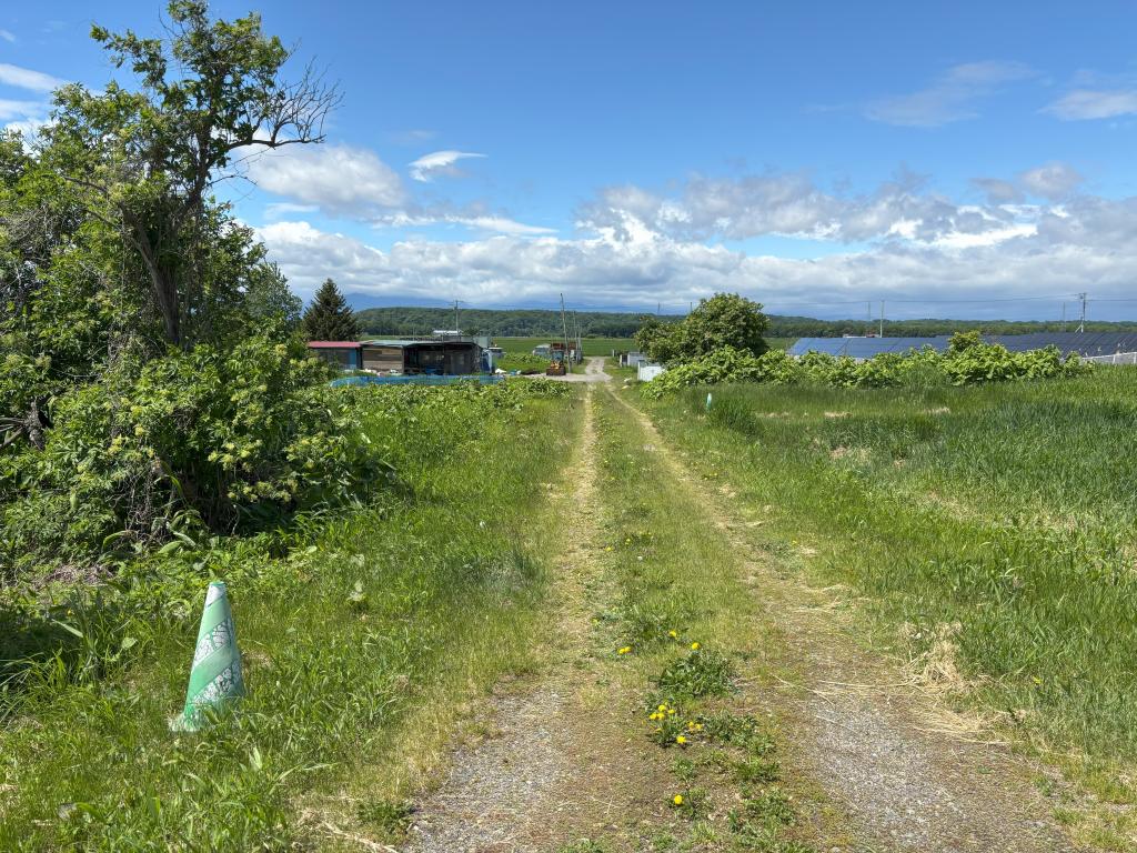 下音更北6線　売土地 内観