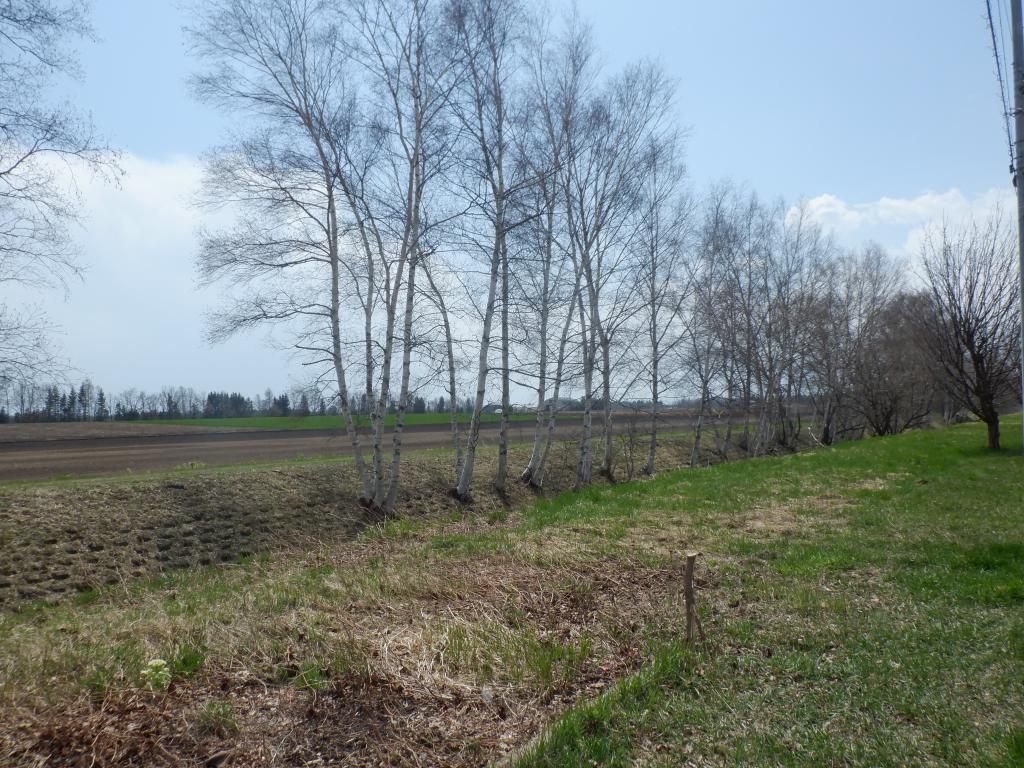 【大空町】全2区画分譲販売中/71.29坪/区画(1) 周辺