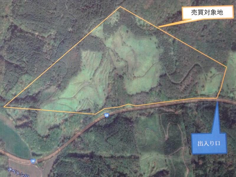 浦幌町帯富 (山林) 国道に接道、南斜面 