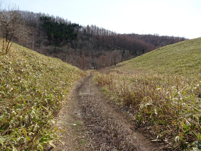 浦幌町帯富 (山林) 国道に接道、南斜面  内観