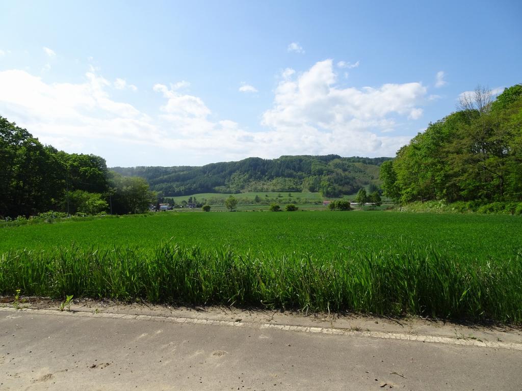 池田町東台売地 内観