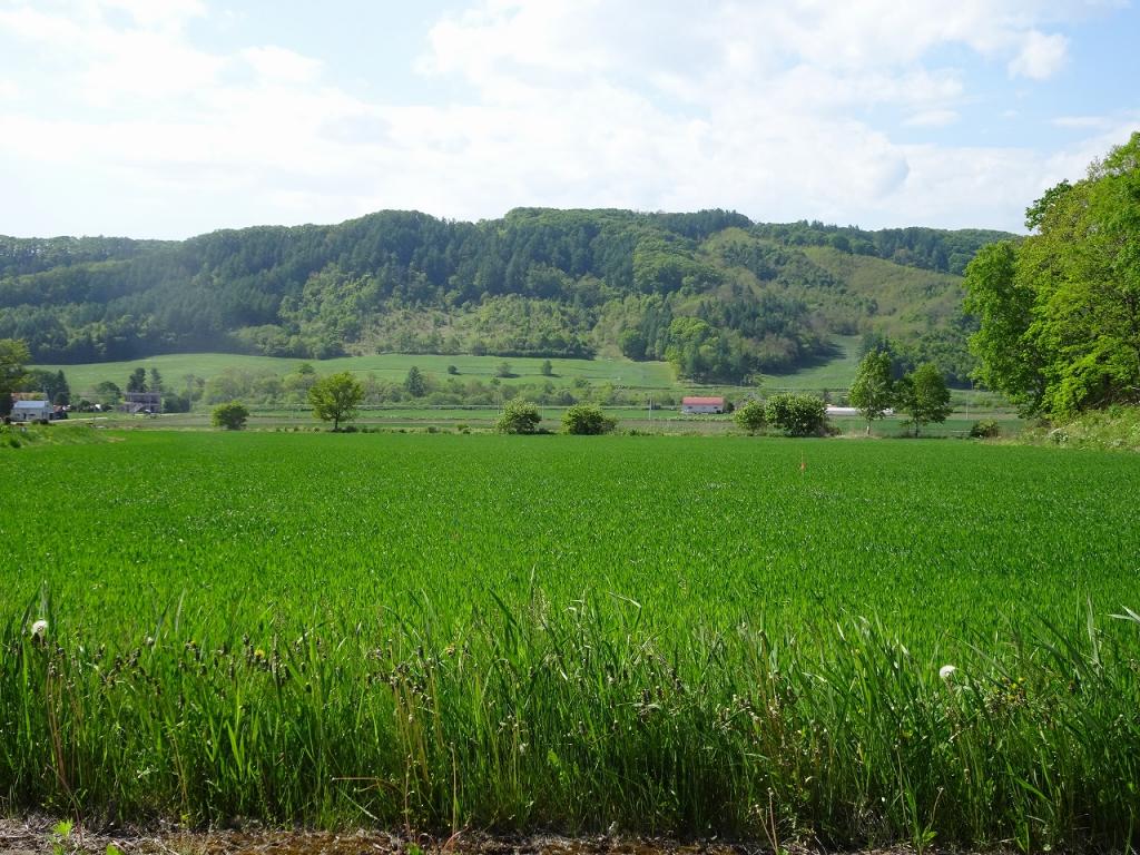 池田町東台売地 内観