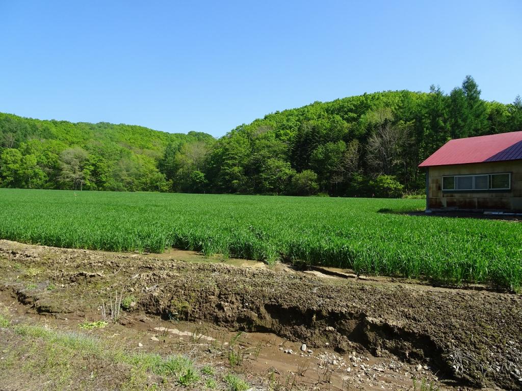 池田町東台売地 内観