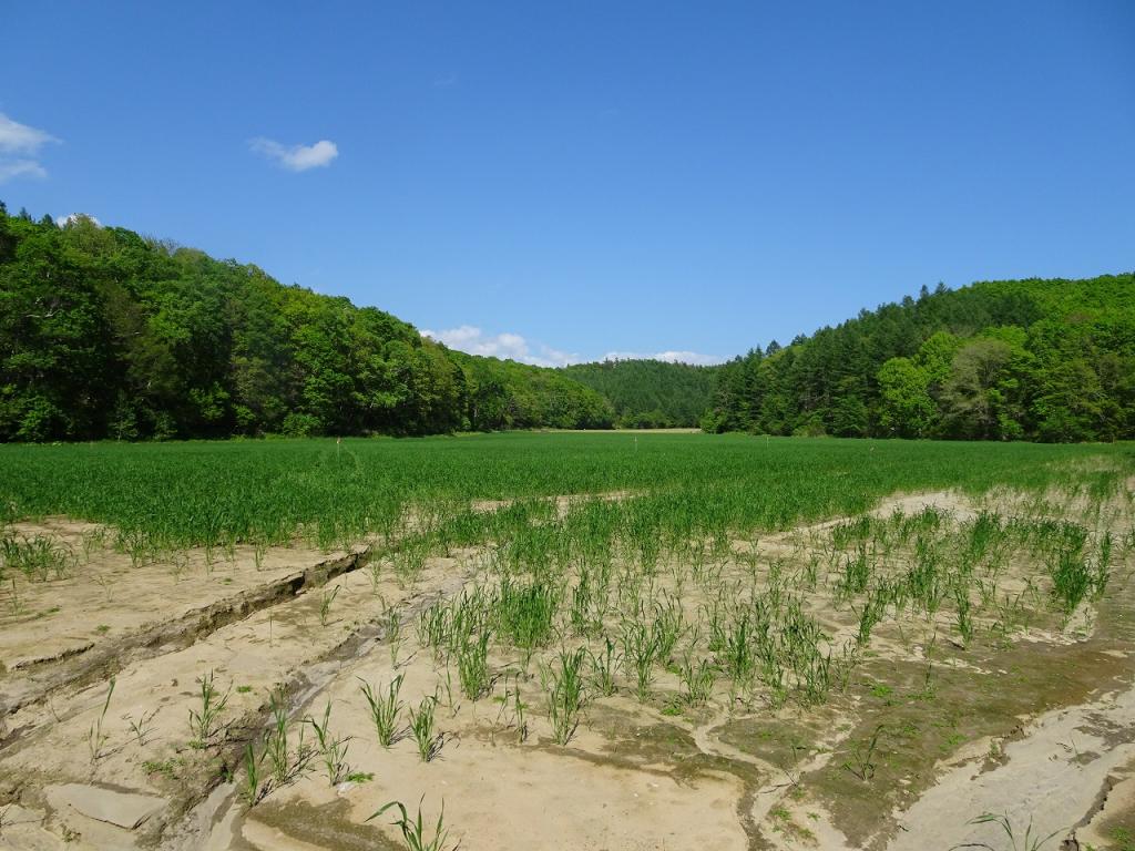 池田町東台売地 内観