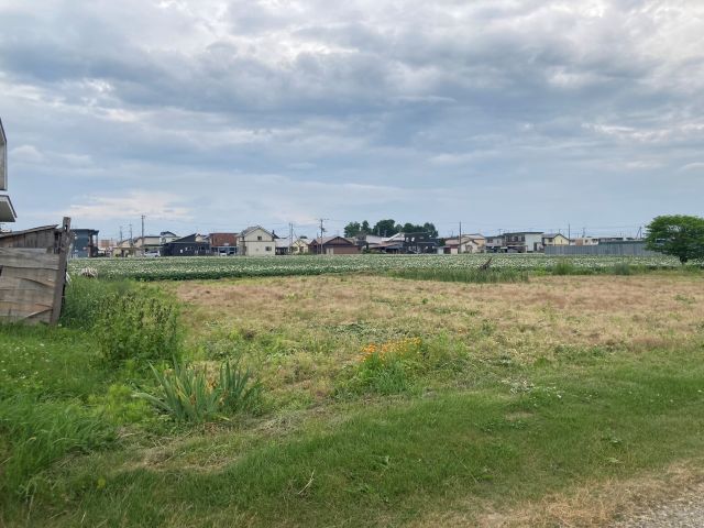 幕別町札内桜町【※約９９坪の敷地！】  外観
