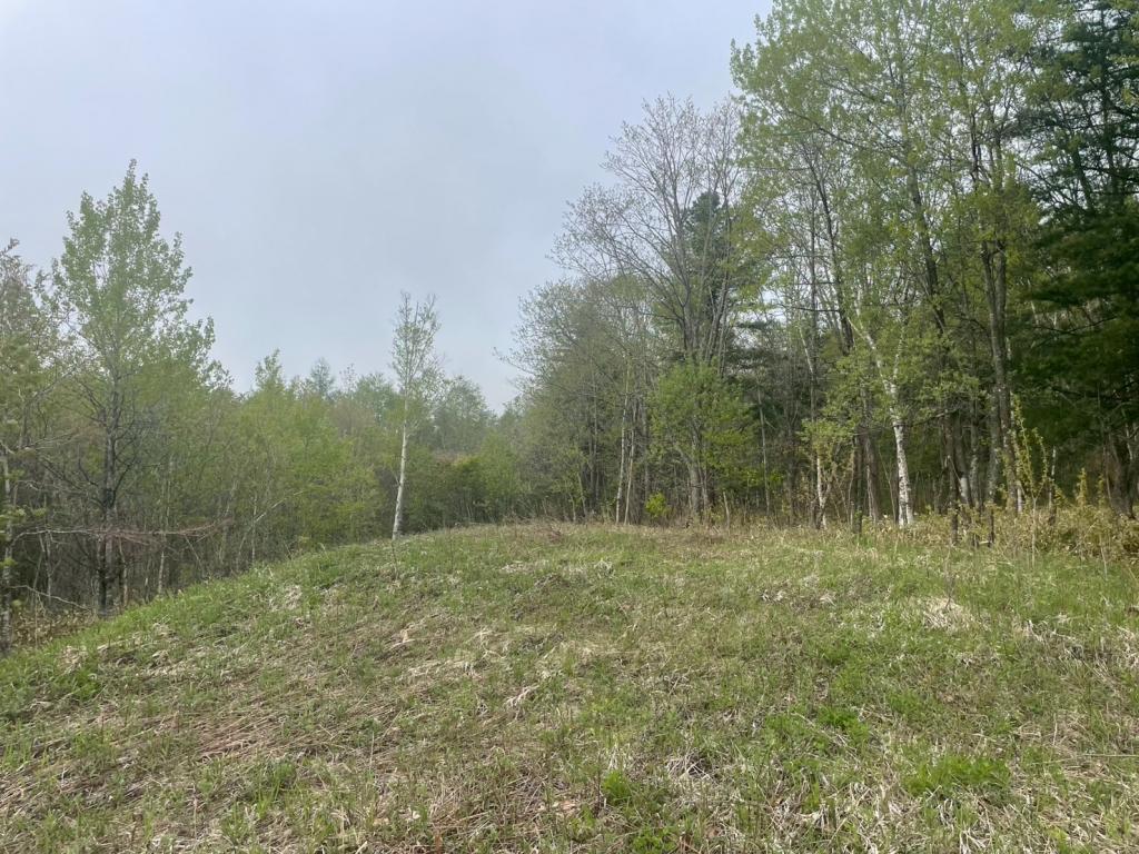 ★売土地★　更別町字弘和　約3,084坪