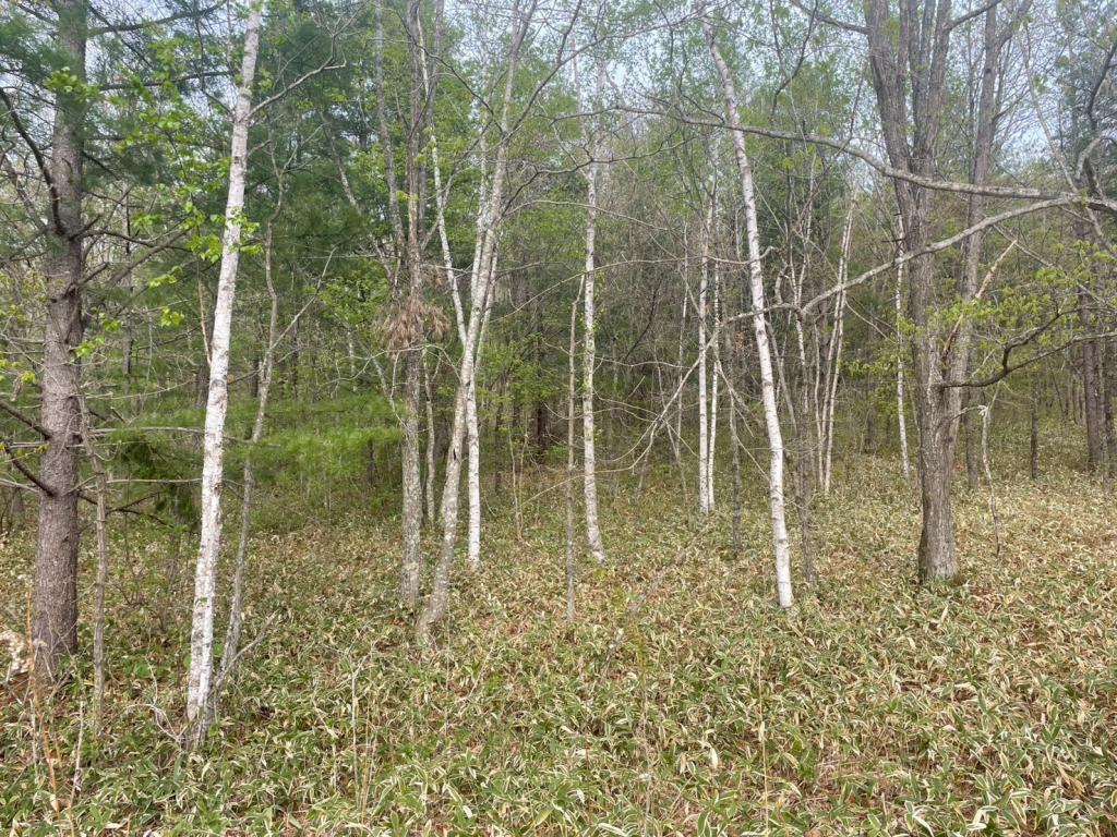 ★売土地★　更別町字弘和　約3,084坪 内観