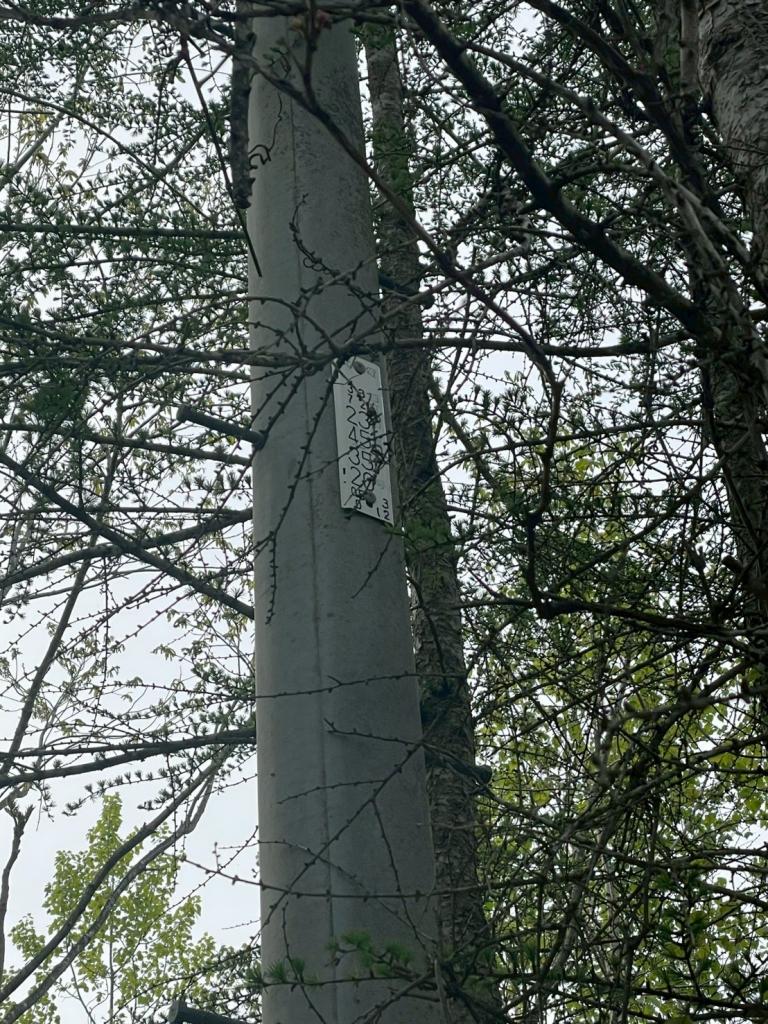 ★売土地★　更別町字弘和　約3,084坪 内観