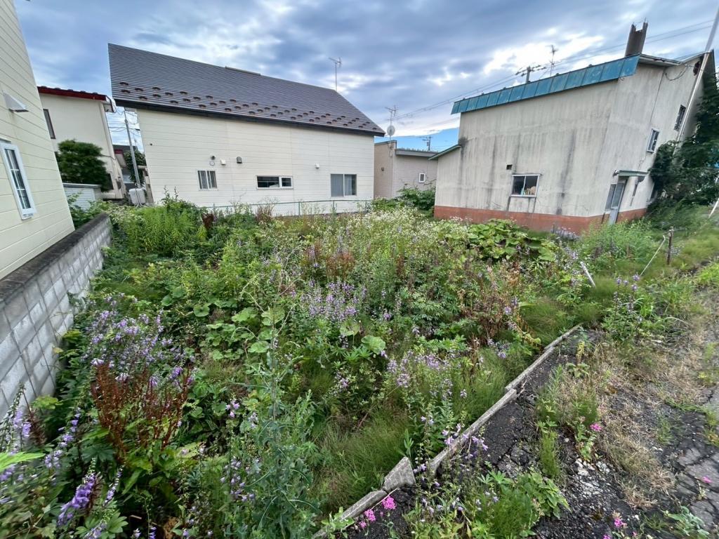 白樺１６東７＿土地 内観