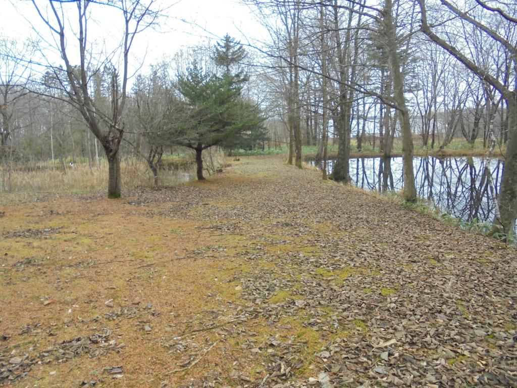 帯広市八千代町　ログハウス付売土地 間取り