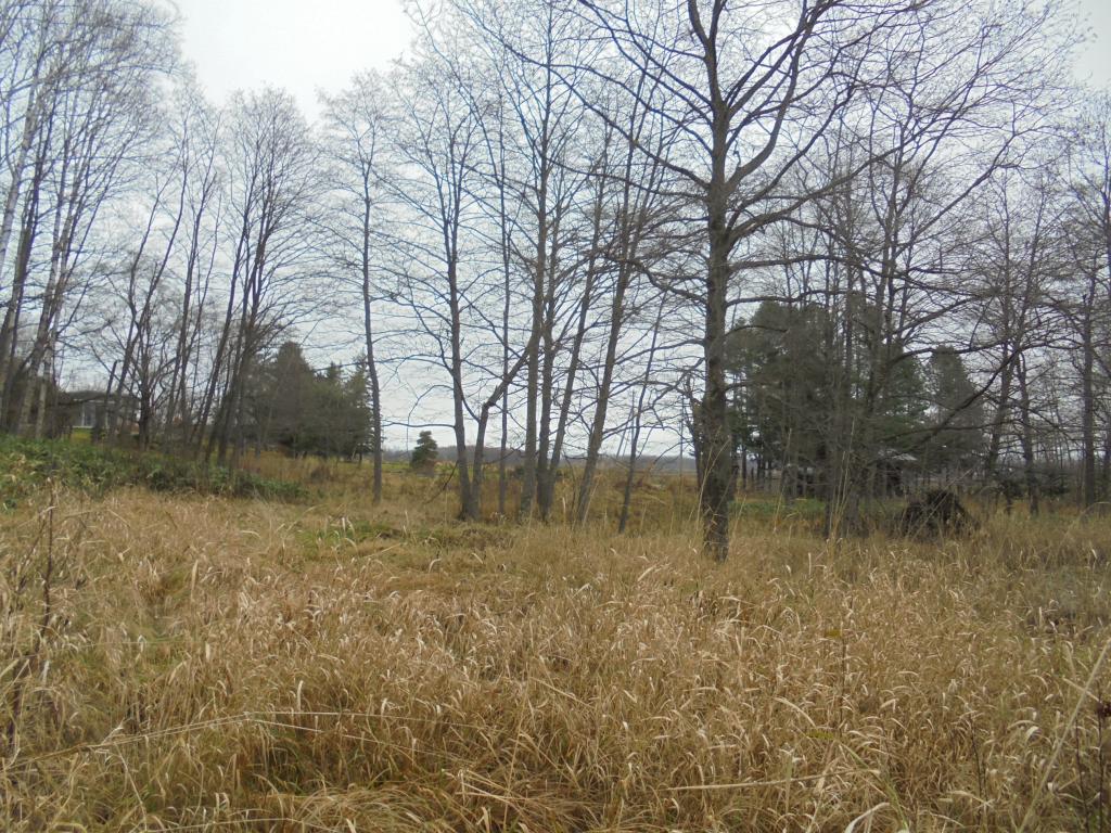 帯広市八千代町　ログハウス付売土地 内観