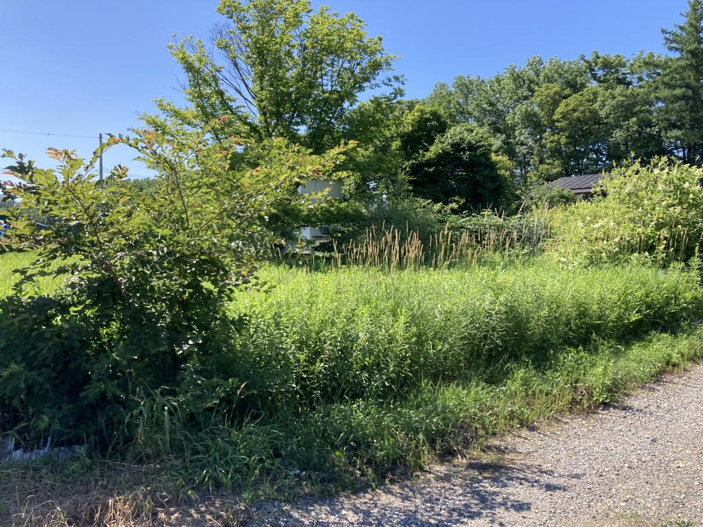 【売土地】86坪 音更町大通20丁目 内観