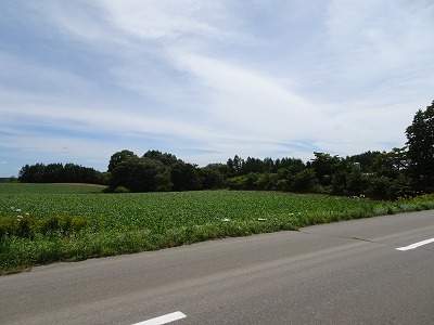 古舞山林 内観
