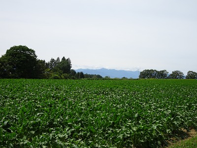 古舞山林 内観