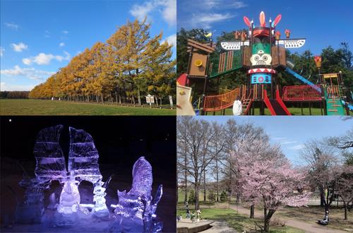 【南道路・緑ヶ丘小 徒歩4分】　緑ヶ丘２条通3丁目　売土地 周辺