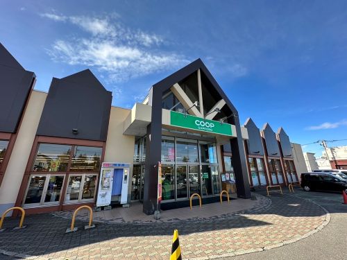 【北東角地・コープさっぽろ徒歩3分】西17南4　売土地 周辺