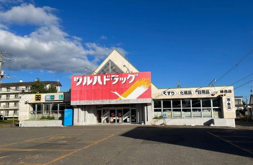 【北東角地・コープさっぽろ徒歩3分】西17南4　売土地 周辺