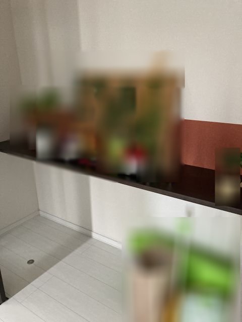 西１８条南３丁目【南西角地！用途多彩な５ＳＬＤＫの美邸！】 内観