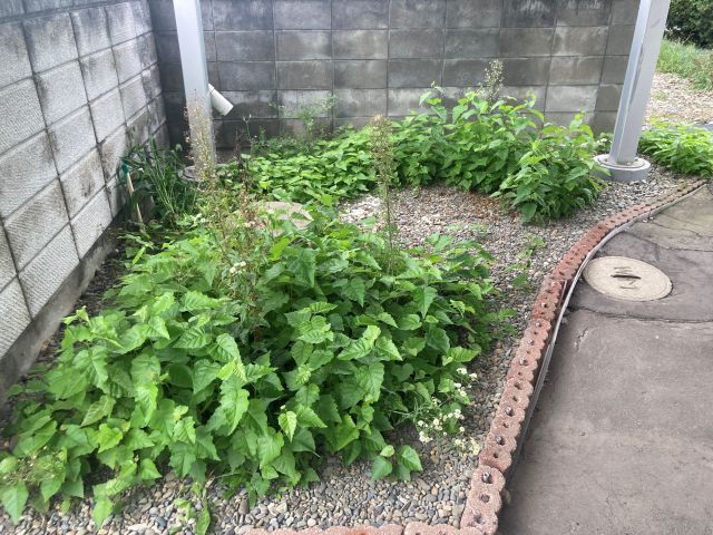 音更町雄飛が丘南区　※商談中【延床面積約１７７㎡のゆったり６ＬＤＫ！】 周辺