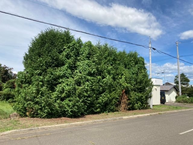 音更町駒場南１条通【長閑な住宅街でのんびりスローライフ♪】 内観