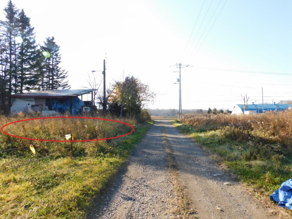 【価格改定】芽室町新生南5線　売土地（約90坪　市街化調整区域） 内観