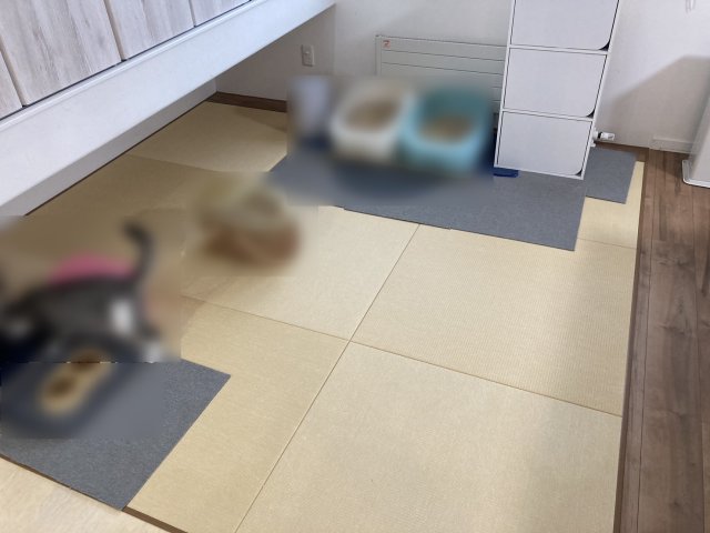 浦幌町字幸町【浦幌町の中古住宅！間取り４ＬＤＫ♪】 内観