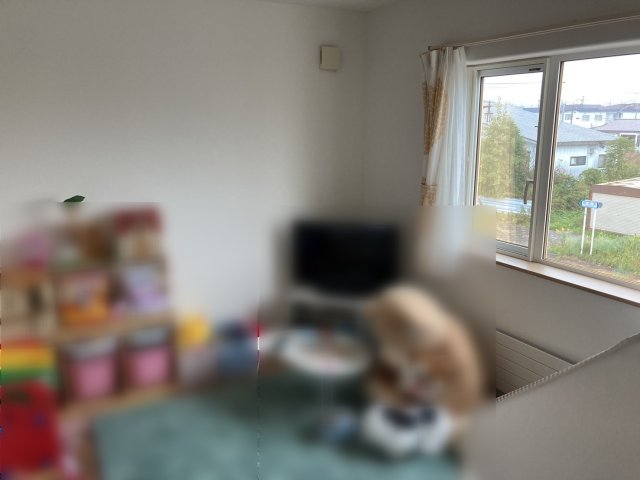 浦幌町字幸町【浦幌町の中古住宅！間取り４ＬＤＫ♪】 内観