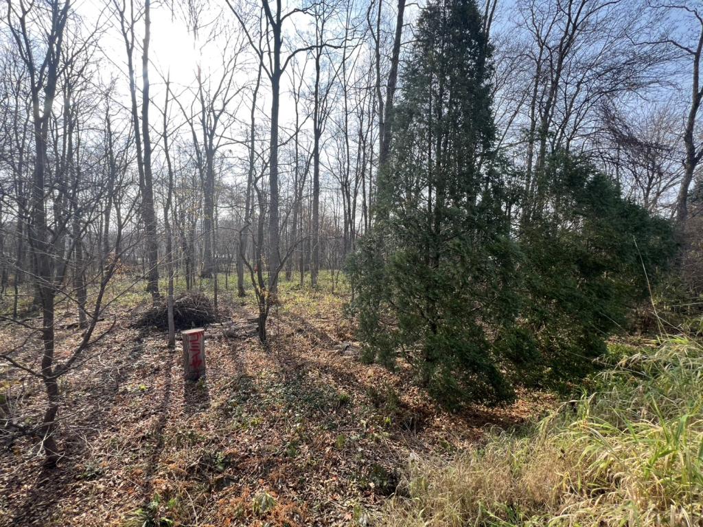 東芽室南2線＿売土地 内観