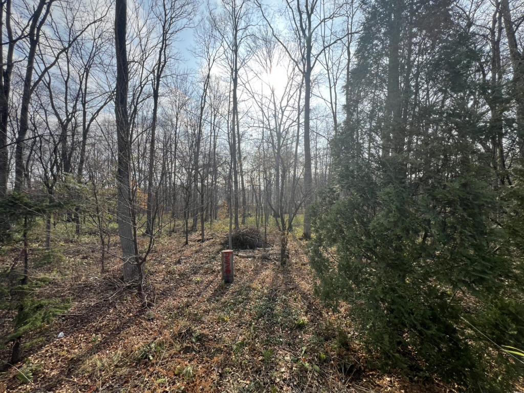 東芽室南2線＿売土地 内観