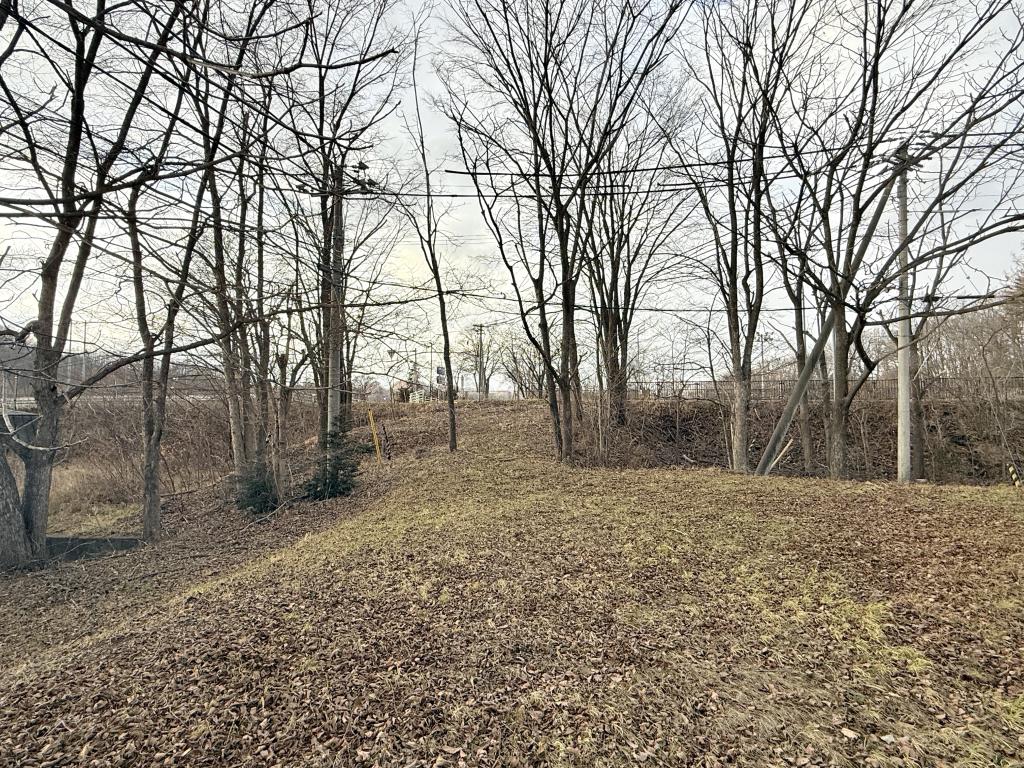 鹿追町南1丁目　1800坪の売土地 内観