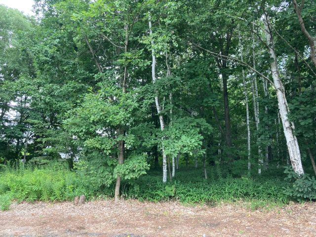 帯広市川西町３４９番４３【南東角地！敷地面積約１００坪！】 内観